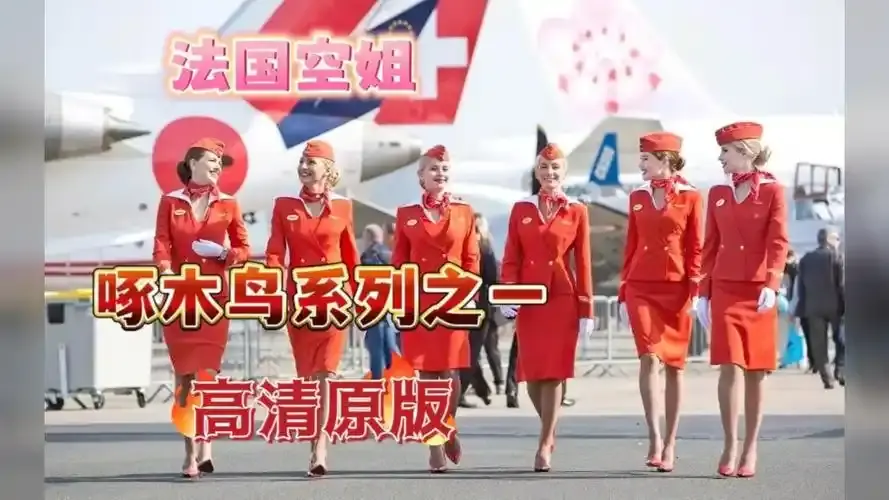 法国电影《法国空姐》超高清无删减在线看，体验塞尔维亚飞行的独特魅力，《法国空姐》全集流畅不卡顿！