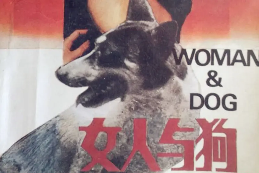 《女人与狗》完整版免费观看 - 欧美电影《女人与狗》HD 1080P蓝光高清免费在线播放