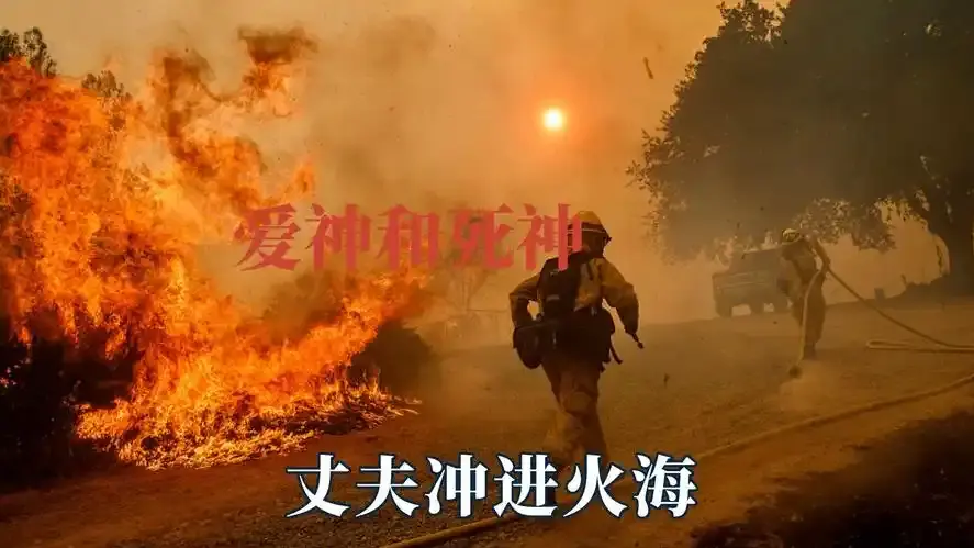 《爱神与死神》星辰影院热映带来撕裂与治愈-4K修复未删减终极版-在线免费无广告