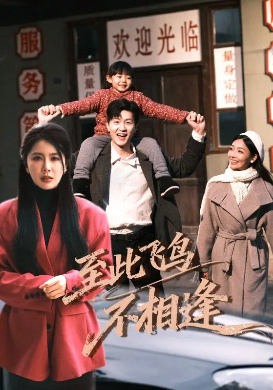 《至此飞鸟不相逢》全70集高清在线观看-丁海霞王鹏主演4K无删减版-夸克网盘百度云资源免费下载