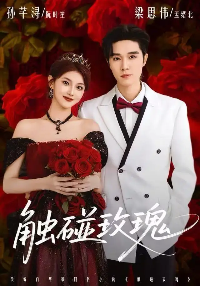全网热播《触碰玫瑰》全集无删减看-2025最新1080P-百度云/夸克/迅雷下载-《触碰玫瑰》解析