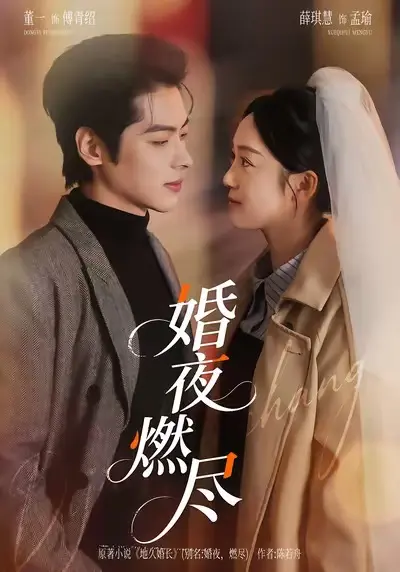 《婚夜，燃尽》72集卡戎林秋奈主演-《婚夜，燃尽》免费观看1080p超清中字4K百度云网盘资源下载
