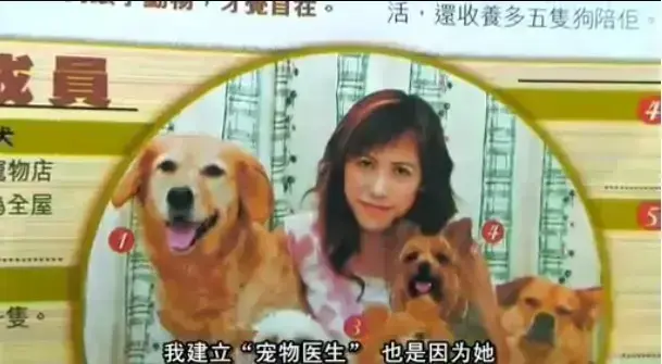 欧美大片《女人与狗》中字无删减免费观看全集 - 女人与狗1080P高清播放无广告 - 网盘资源一键保存