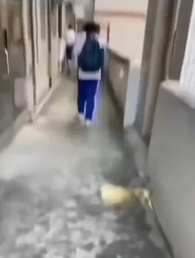 免费获取《大昌市第七中学》教室走廊诡异身影完整版