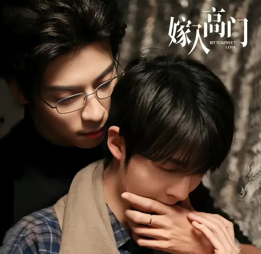 《嫁入高门的男人》双男主爱情剧HD高清画质播放-无广告在线观看完整版-最新同步更新《嫁入高门的男人》