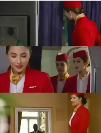 法国空姐私人航空不雅空乘