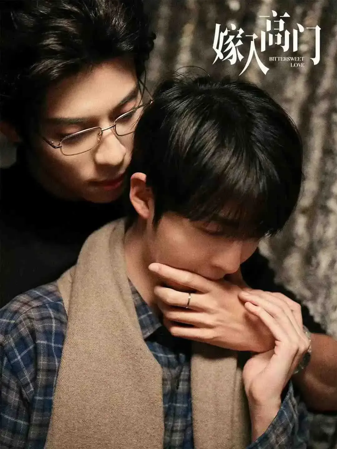 2026超火双男主爱情剧《嫁入高门的男人》，全季高清免费在线看，无广告流畅播放，VS影院别错过！